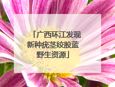 广西环江发现新种疣茎绞股蓝野生资源
